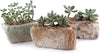 Stone-Shaped Ceramic Succulent Planter with Drainage Hole