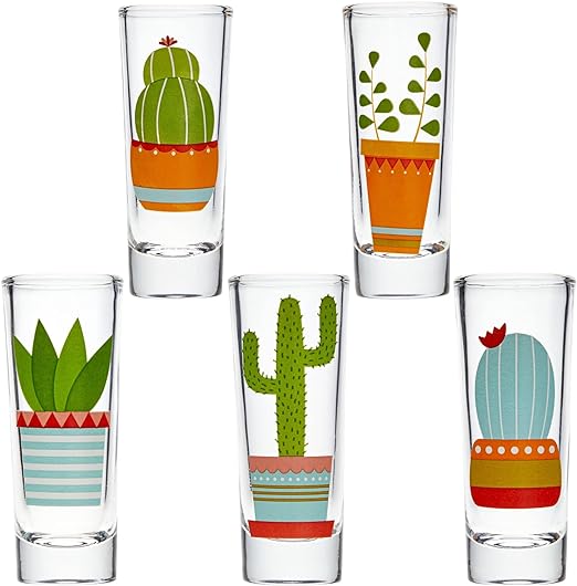 Decorative Gift Shot Glass with Cactus Designs- 2 oz Party Size Shot Glasses Set of 5