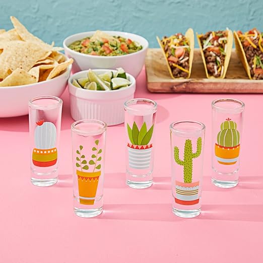 Decorative Gift Shot Glass with Cactus Designs- 2 oz Party Size Shot Glasses Set of 5
