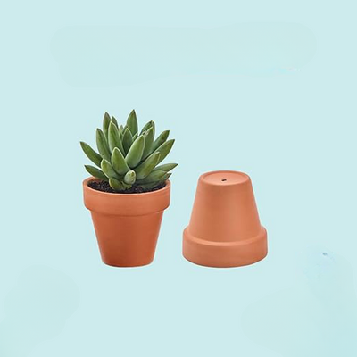 Small 2-Inch Terracotta Pot with Drainage Holes for Succulent Plants, Indoors or Outdoors