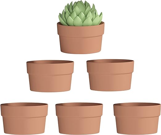 Terracotta Shallow Succulent Pot - Terracotta Clay Planters with Drainage for Indoor and Outdoor Use