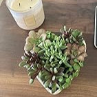 Ceramic Heart-Shaped Cream-White Succulent Plant Pots