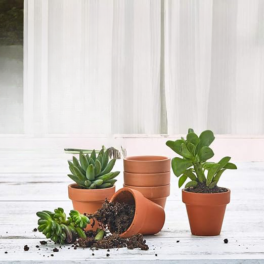 Small 2-Inch Terracotta Pot with Drainage Holes for Succulent Plants, Indoors or Outdoors