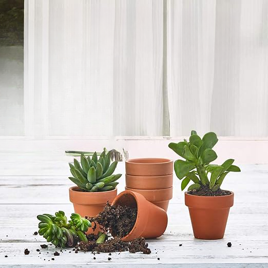 indoor terracotta plant pots Small 2-Inch Terracotta Pot with Drainage Holes for Succulent Plants, Indoors or Outdoors
