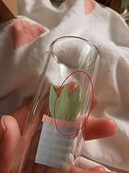 Decorative Gift Shot Glass with Cactus Designs- 2 oz Party Size Shot Glasses Set of 5