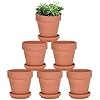 Small 2-Inch Terracotta Pot with Drainage Holes for Succulent Plants, Indoors or Outdoors