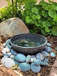 Terracotta Plastic Garden Planter - Ideal for Succulents, Bonsai, Fairy Gardens, and Herbs