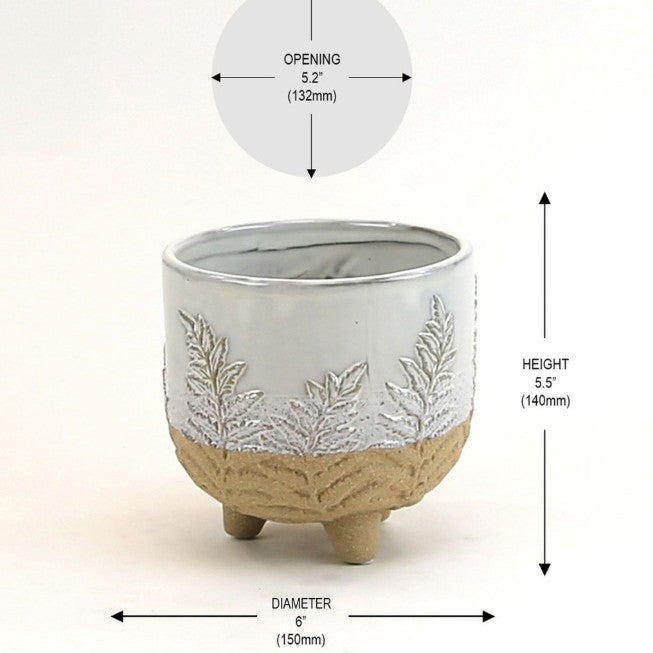 Fern Print Cream & Sand two toned footed Pot