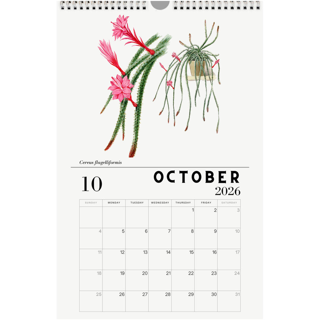 generated-preview-10