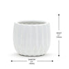 Unique Modern White Pot
