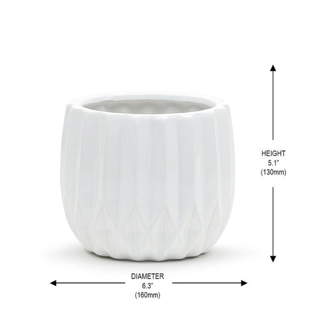 Unique Modern White Pot