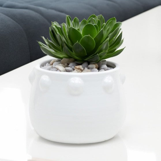 Honey Pot Vase With Decorative Knob Edge