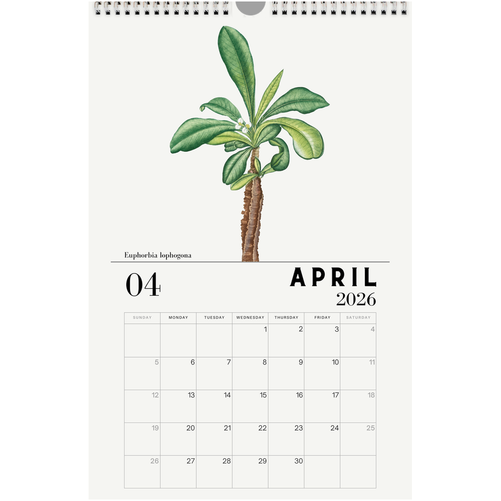 succulent wall calendar 2026 Succulent Calendar