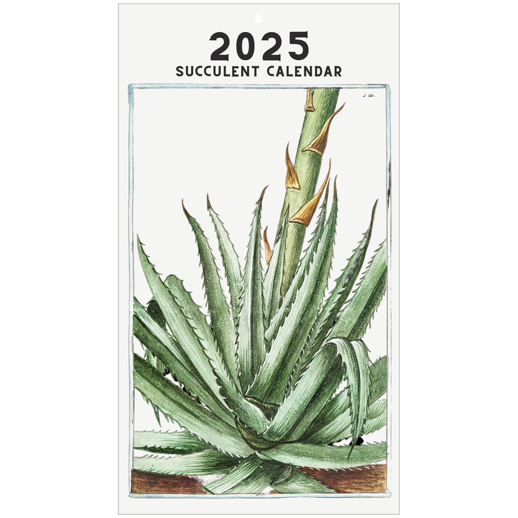 2025 Succulent Calendar