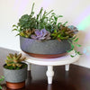 Round Capri Bowl