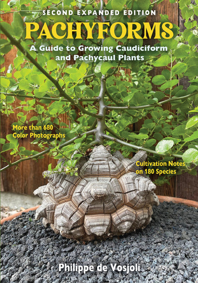 PACHYFORMS a guide to growing Caudiciform and Pachycaul Plants