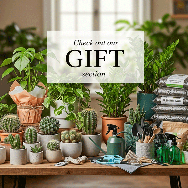 shop our gift section