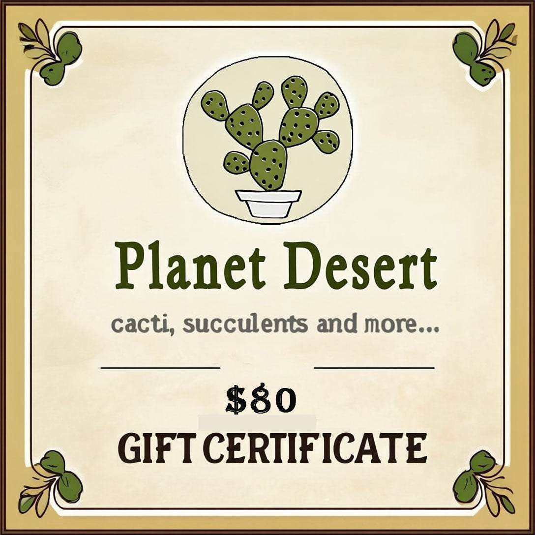 succulent gift card Gift Card