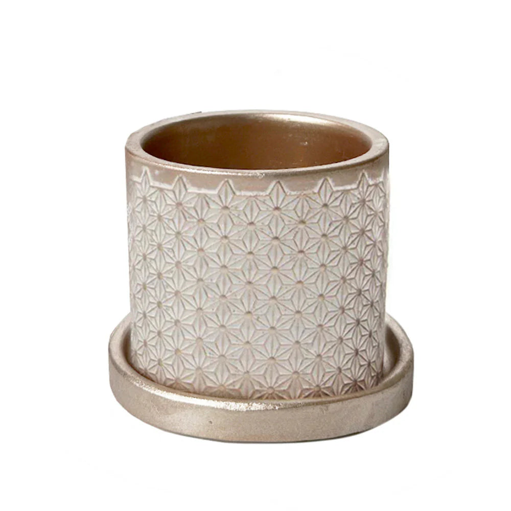 indoor plant pot and saucer Balter Pot and Saucer 3.5" Pot / Grey Leaves