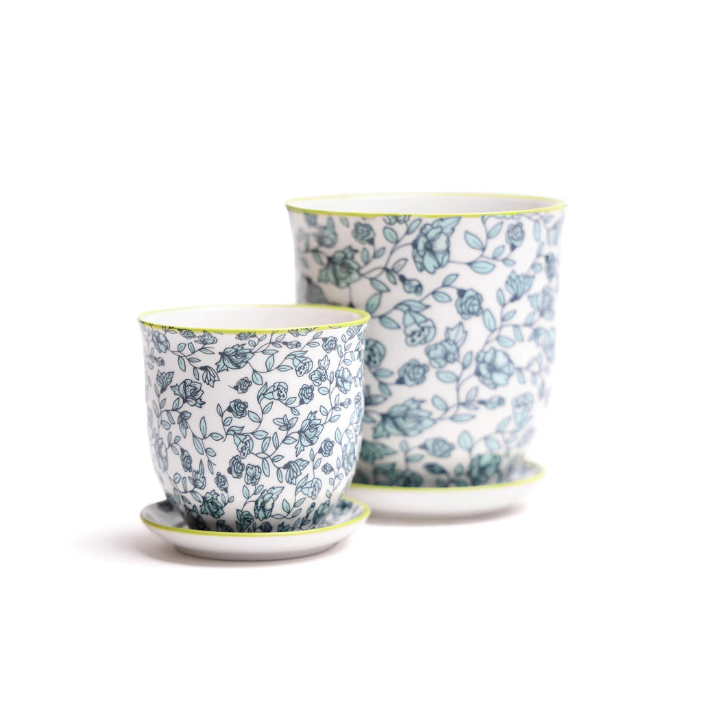 Liberte Pot and Saucer