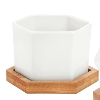 White Ceramic Succulent Planters with Bamboo Tray - Stylish Home and Office Decor