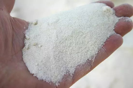 silica sand for succulents 1 lb Sand River Rock Cactus and Succulent Top Soil Dressing White