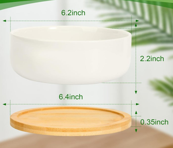 Ceramic Succulent and Cacti High Planter with Drainage Bamboo Tray