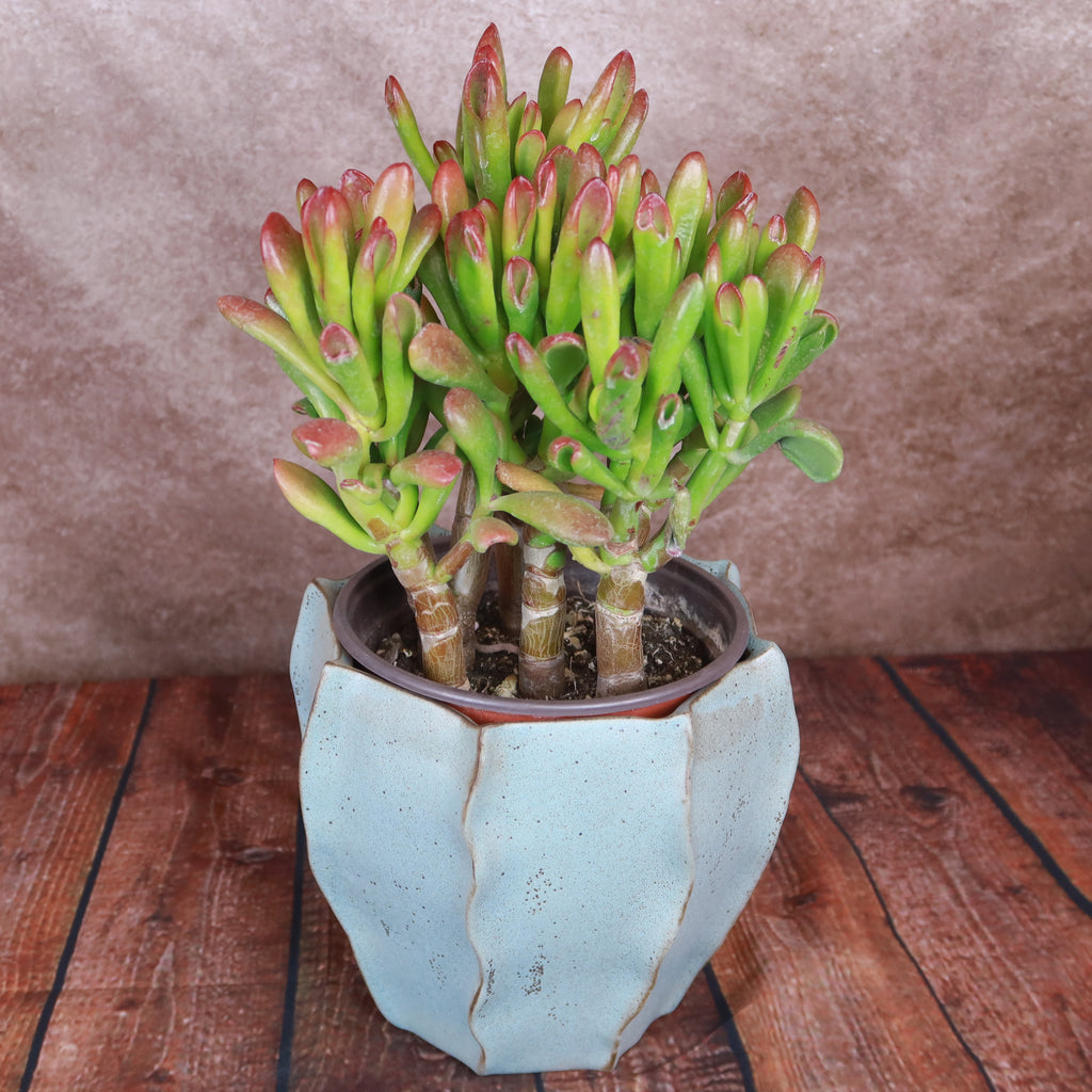 Unique Decorative Pot