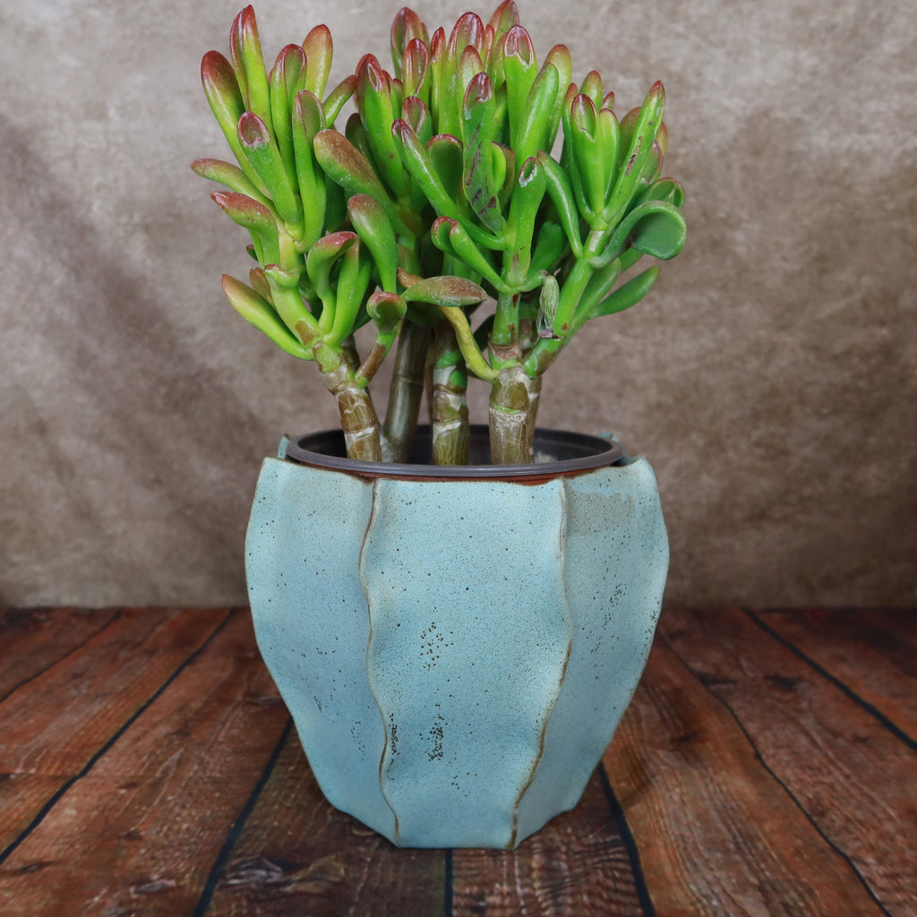 Unique Decorative Pot