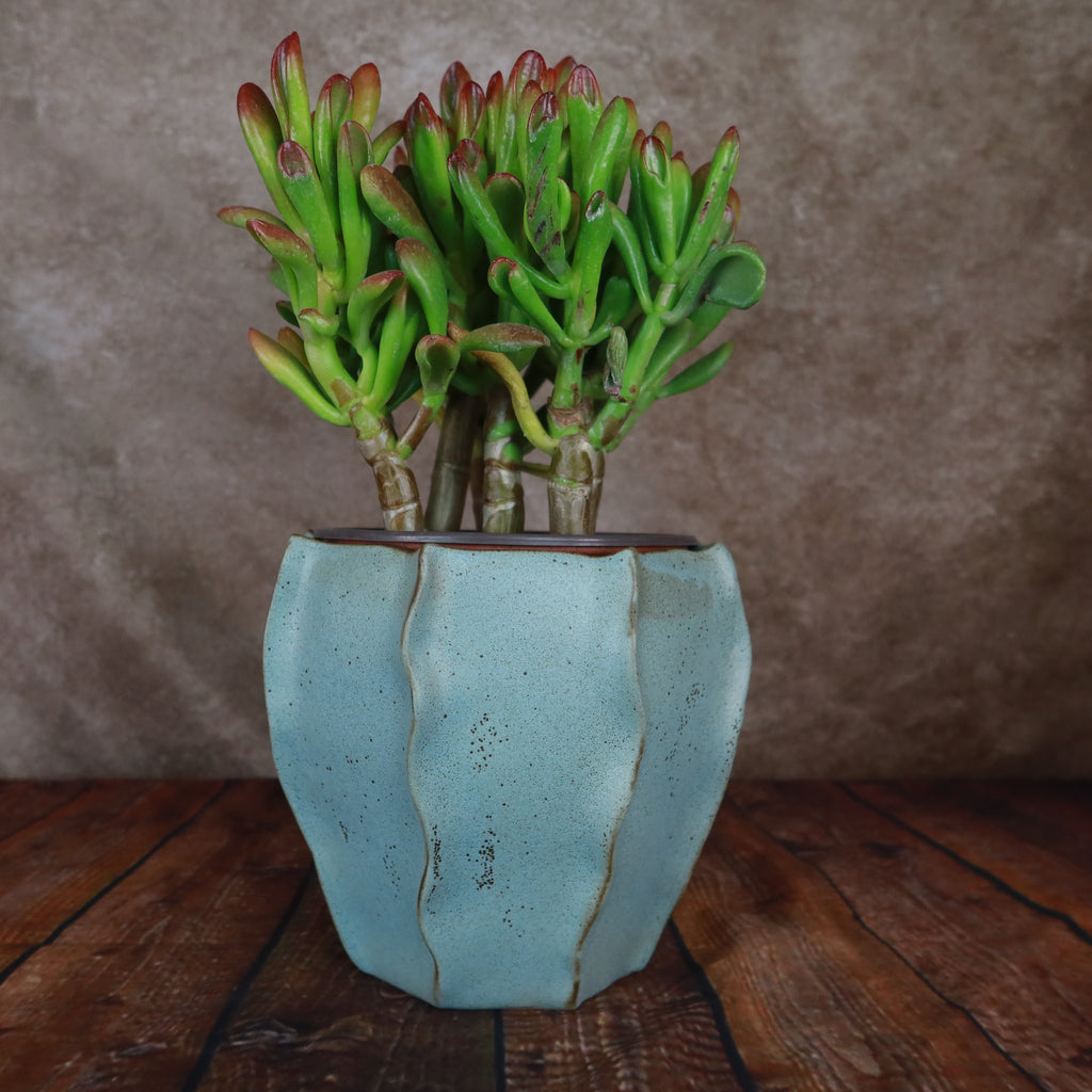 Unique Decorative Pot