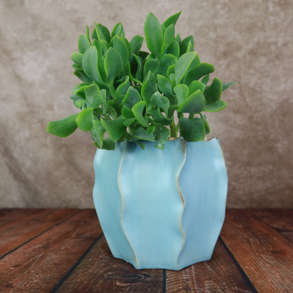 Unique Decorative Pot