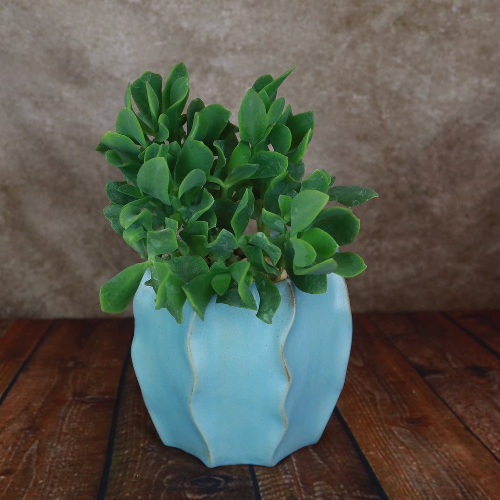 Unique Decorative Pot