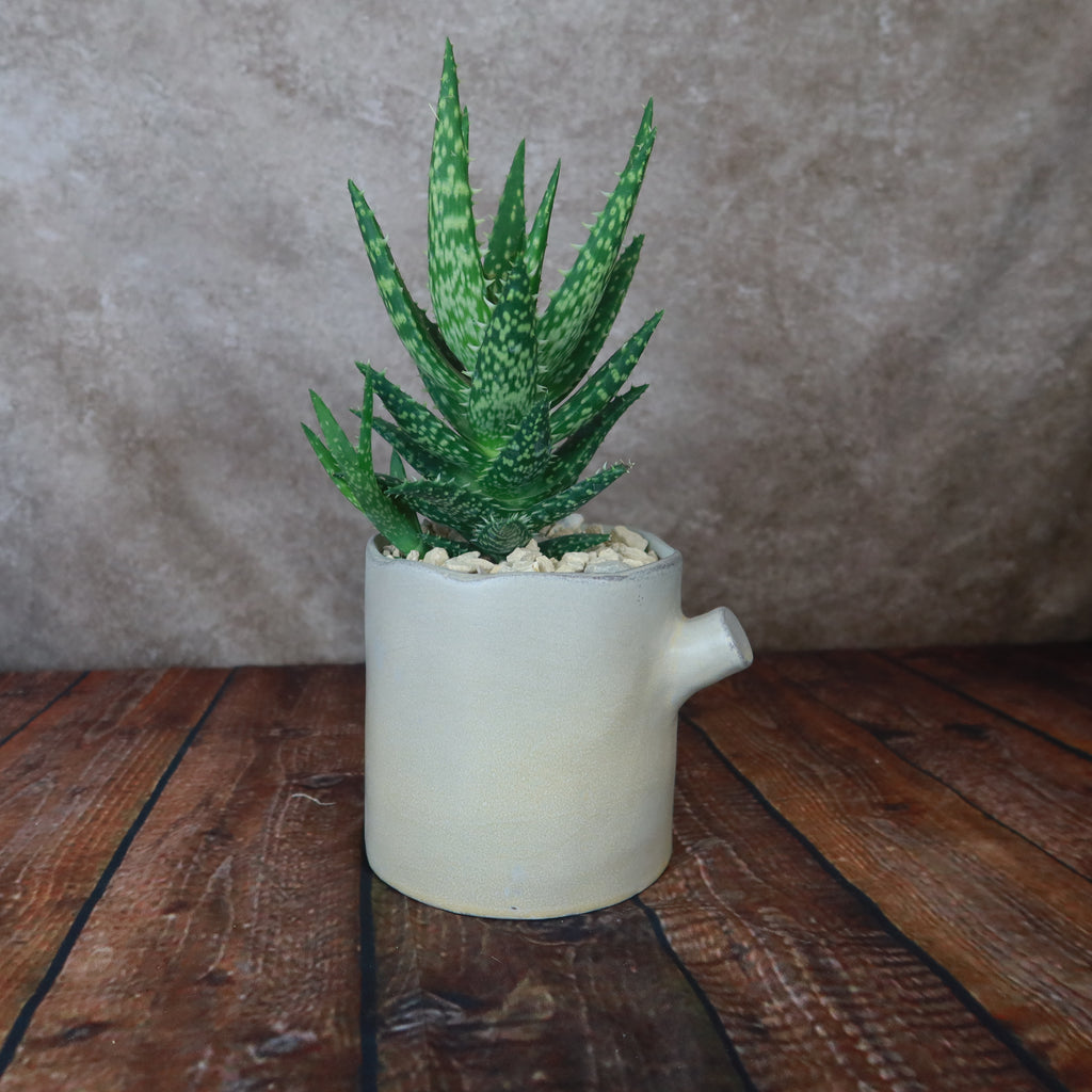 Birch Tree Trunk Vase