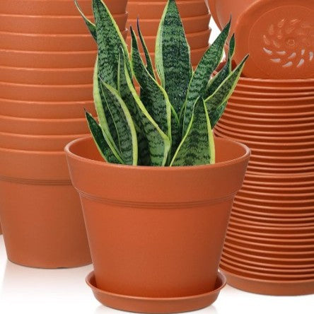 indoor plant pots plastic Cactus or Succulent Plastic Nursery Pot with Drainage and Saucers 4" Pot / White