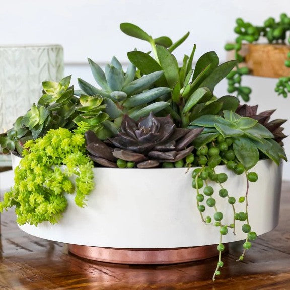 Round Capri Bowl