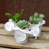 3 mini succulents in tin pails wedding or party favor arrangements