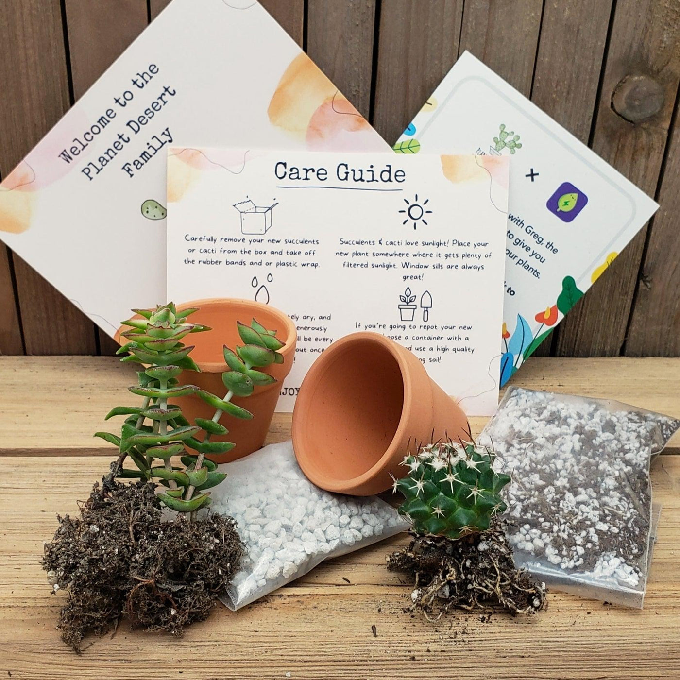 succulent plant gift set 1 Succulent 1 Cactus Growing Kit Gift Box