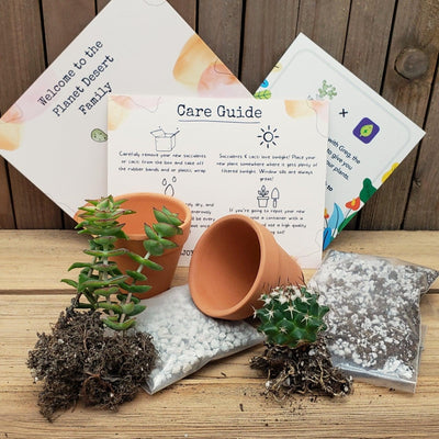 Succulent & Cactus Growing Kit Gift Box