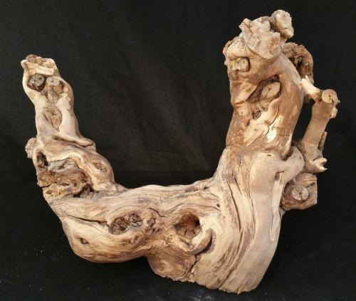 Sandblast Grape Wood Branch