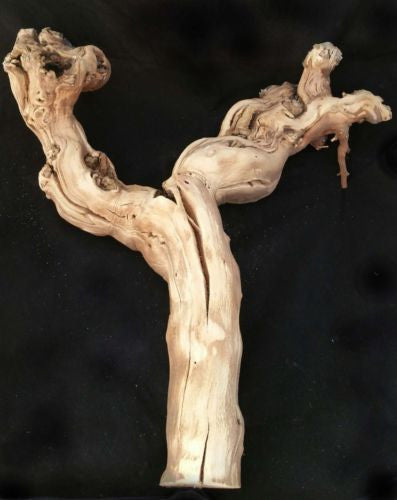 24 X 12" Sandblast Grapewood Branch For Reptile Flower Arrangement - Planet Desert