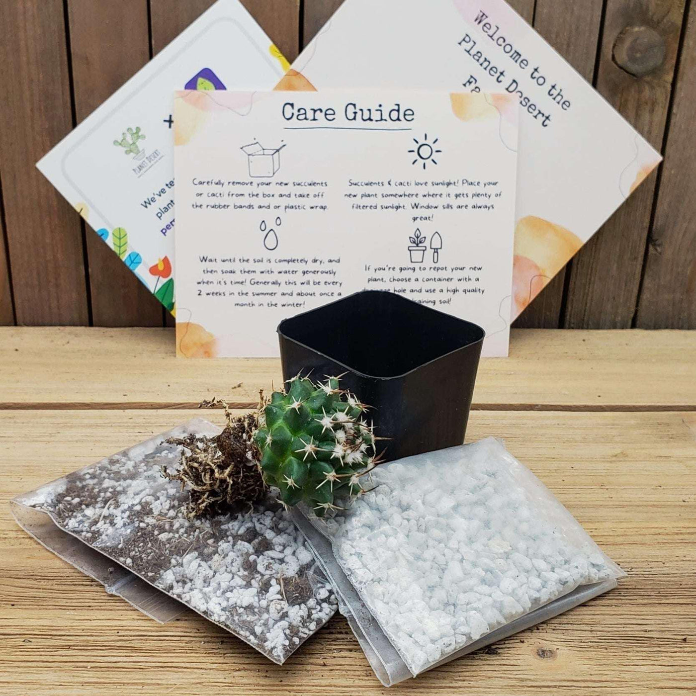 1 Cactus Growing Kit Gift Box