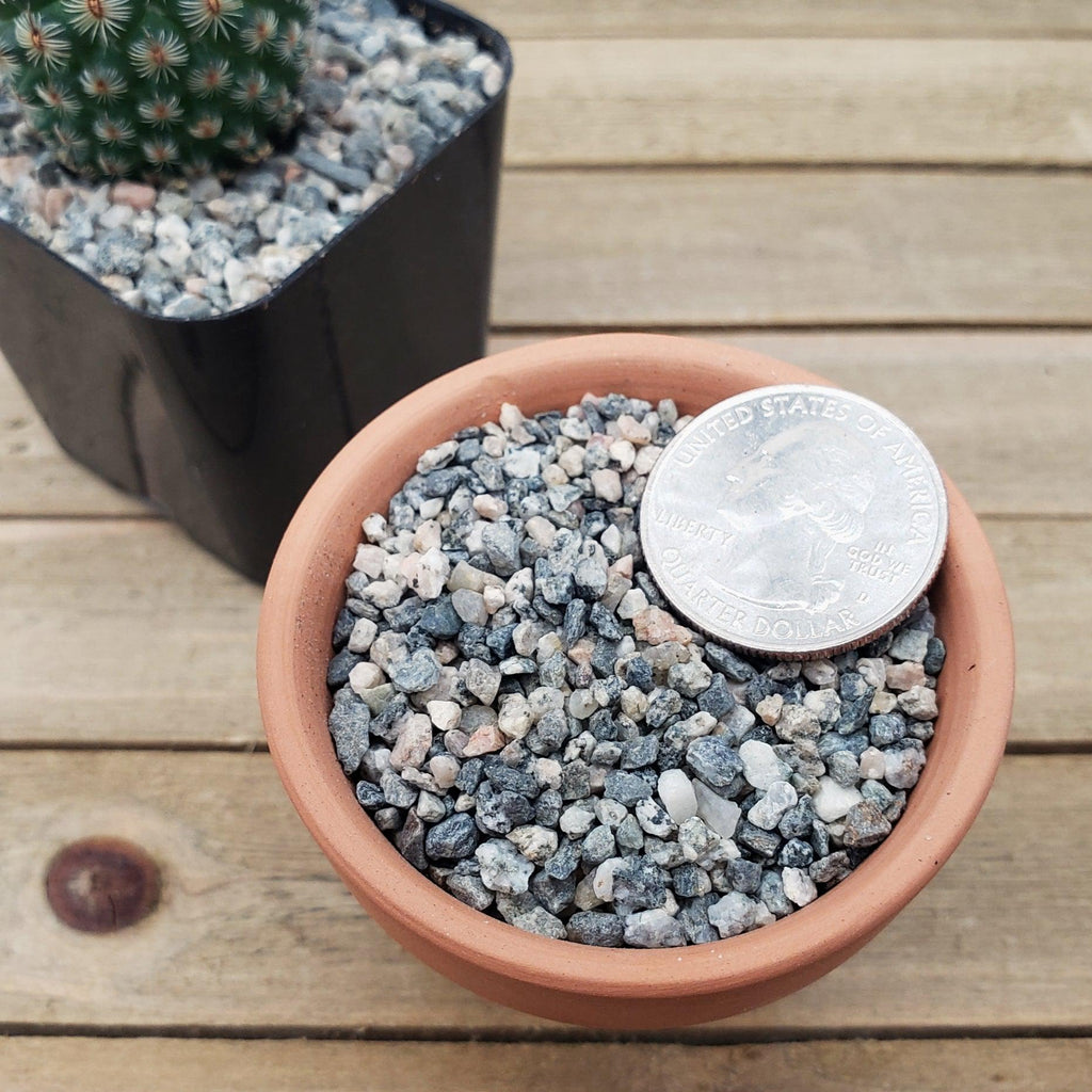 Top Soil Dressing Pebbles for seed germination