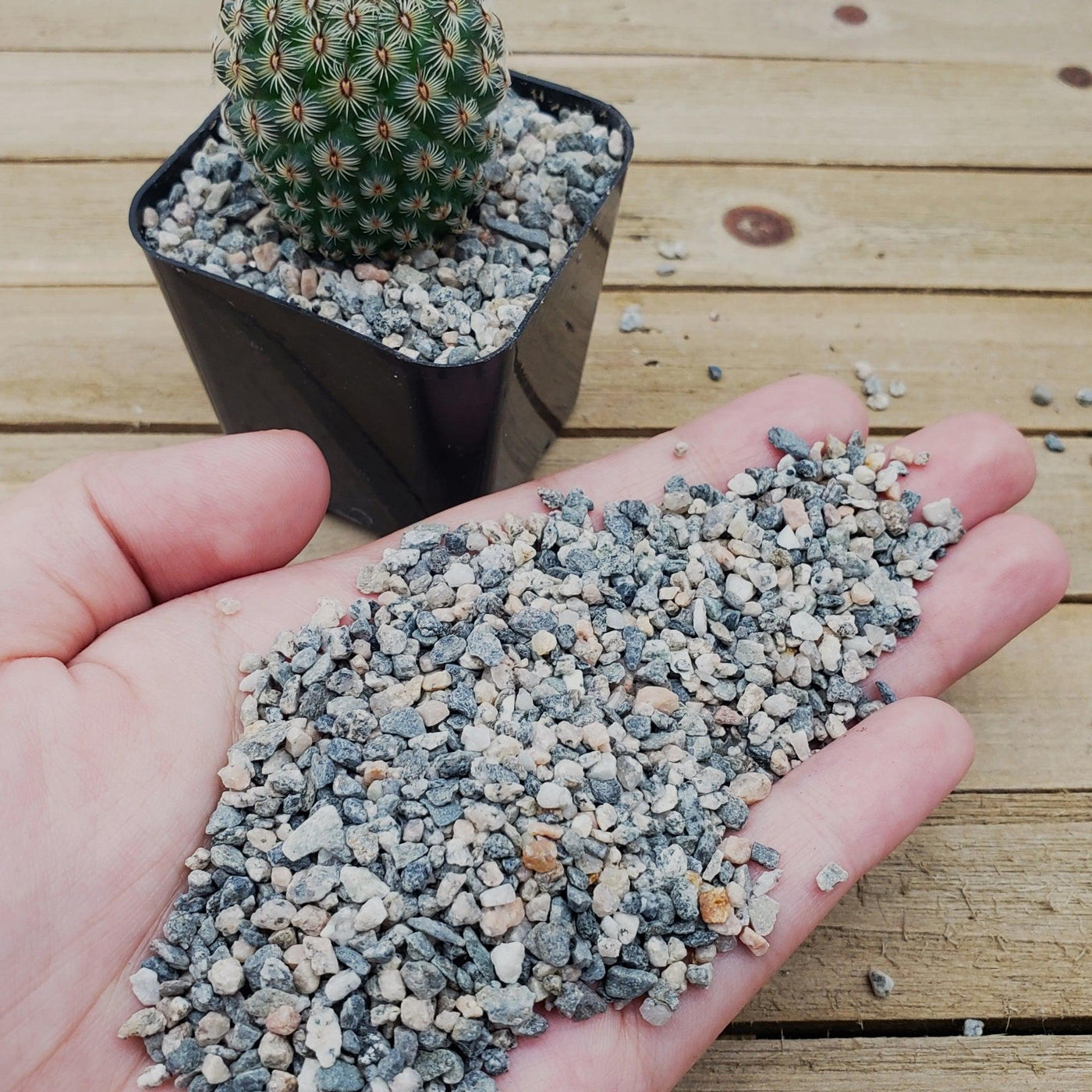 Top Soil Dressing Pebbles for seed germination