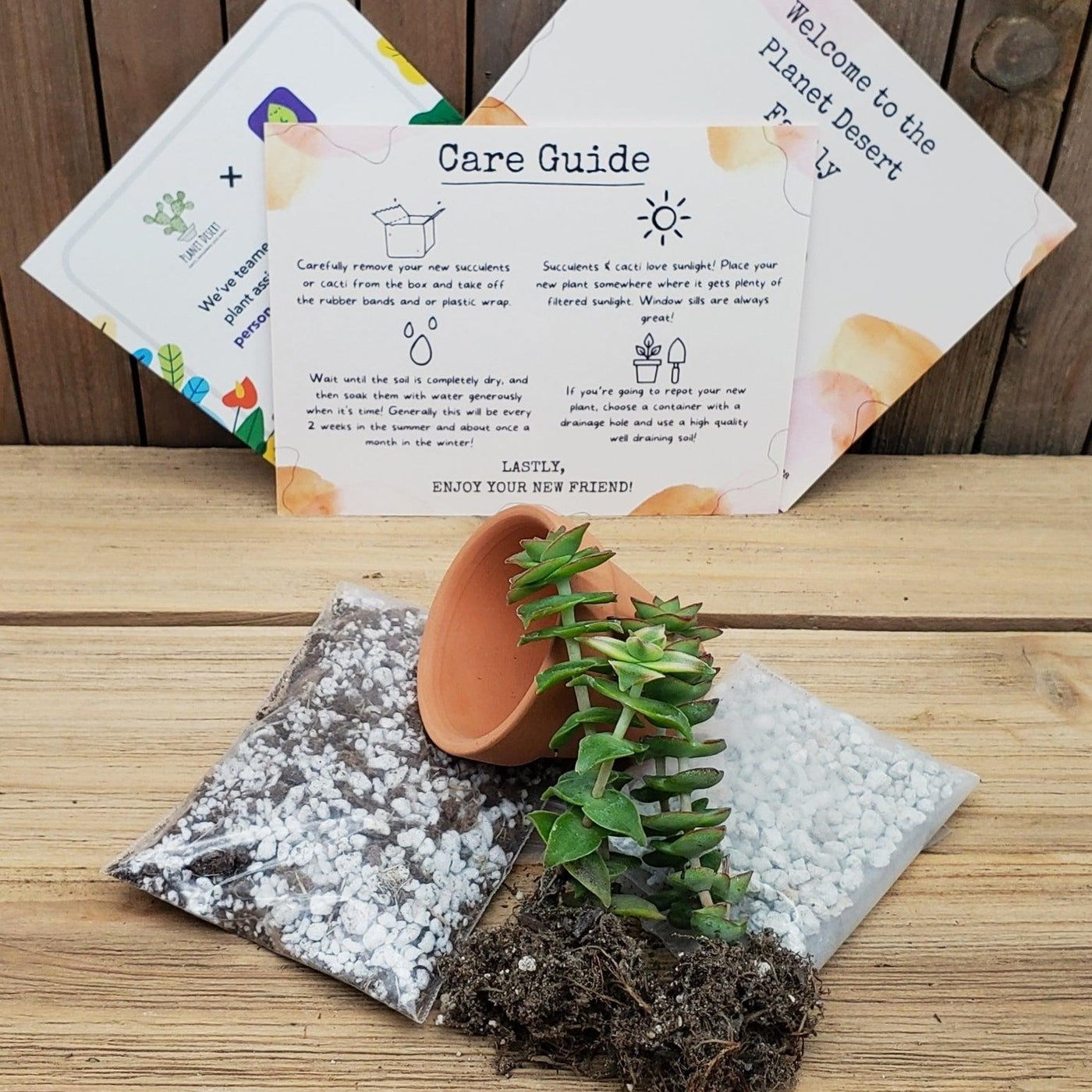 Succulent Growing Kit Gift Box