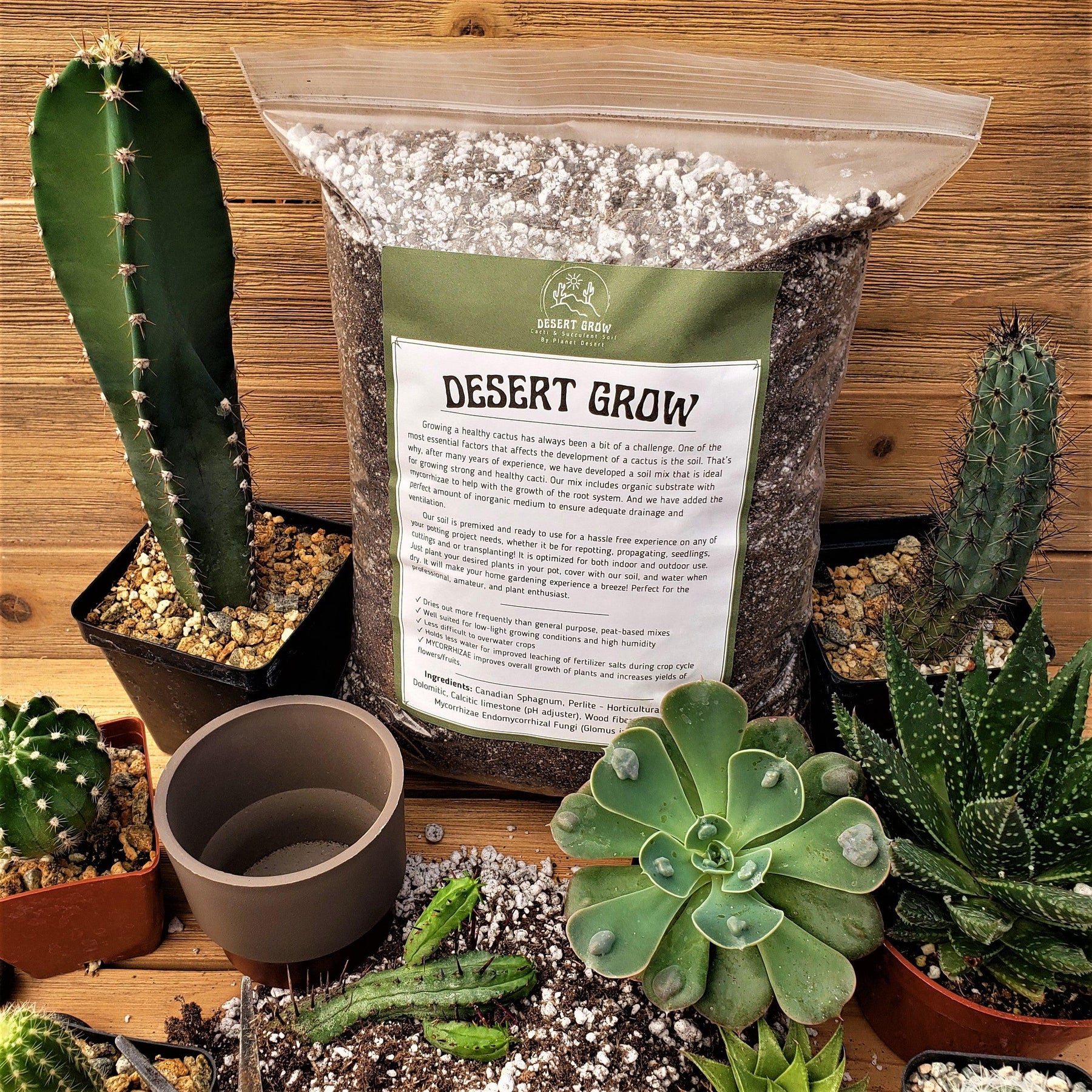 Uhlig cactus soil standard - Uhlig Kakteen - plus de 5000 d