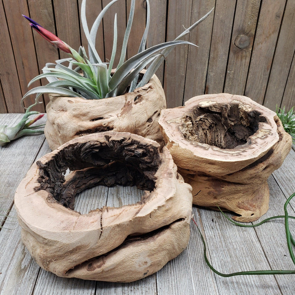 Sandblasted Hollow Grapewood