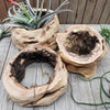 Sandblasted Hollow Grapewood