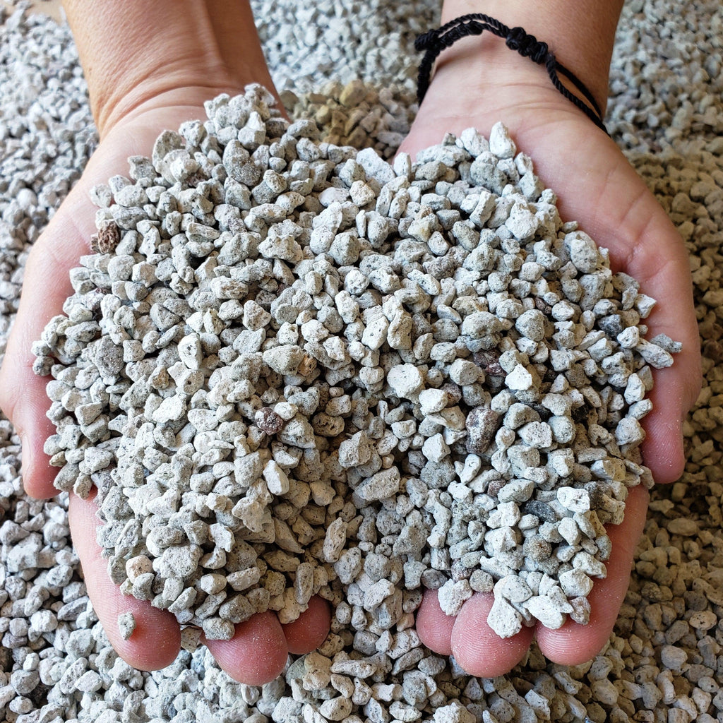 2 Quarts 1/4 Pumice Rock Horticultural Cactus Succulent Bonsai Amendment