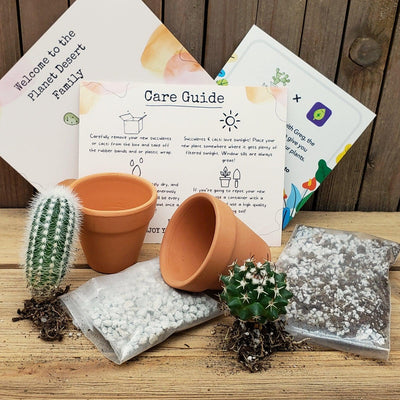 Cacti Growing Kit Gift Box