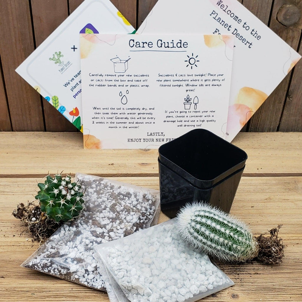 Cacti Subscription Box